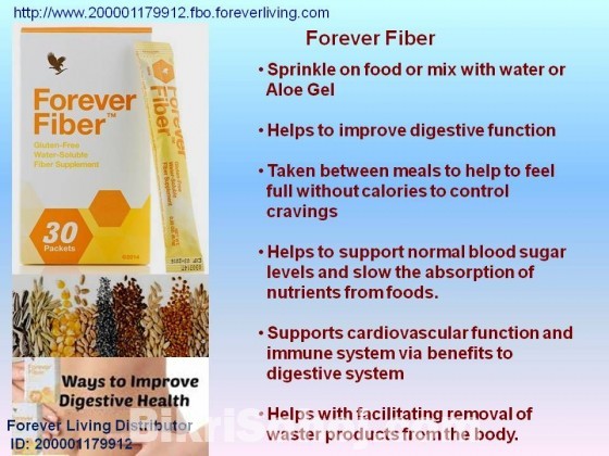 Forever Fiber